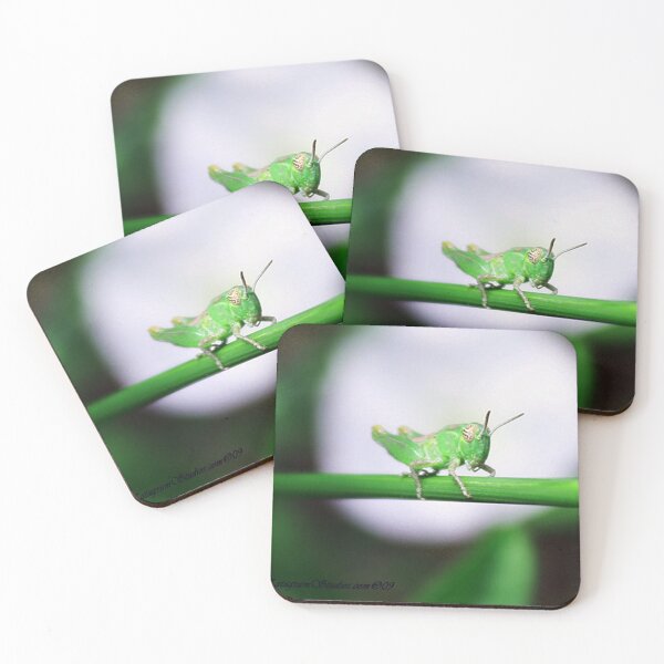 Item preview, Grass Hopper designed and sold by Katagram.