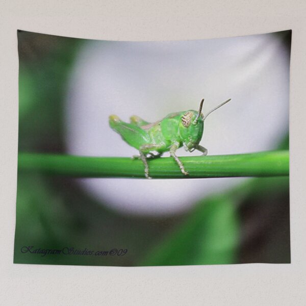 Item preview, Grass Hopper designed and sold by Katagram.