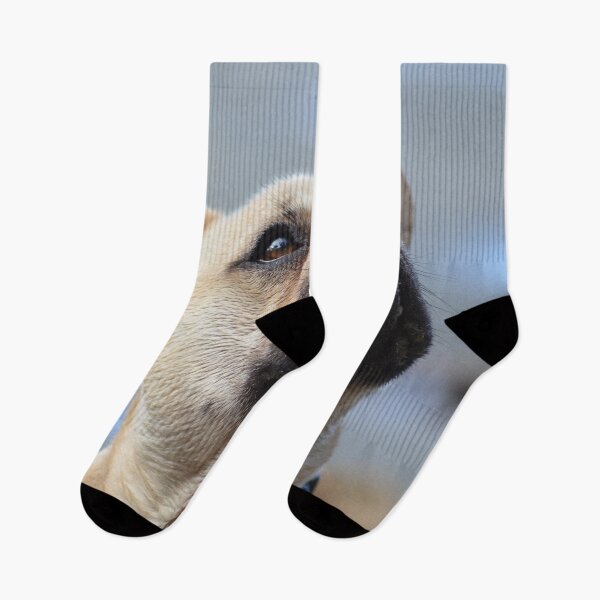 Item preview, French Bulldog designed and sold by lizdomett.