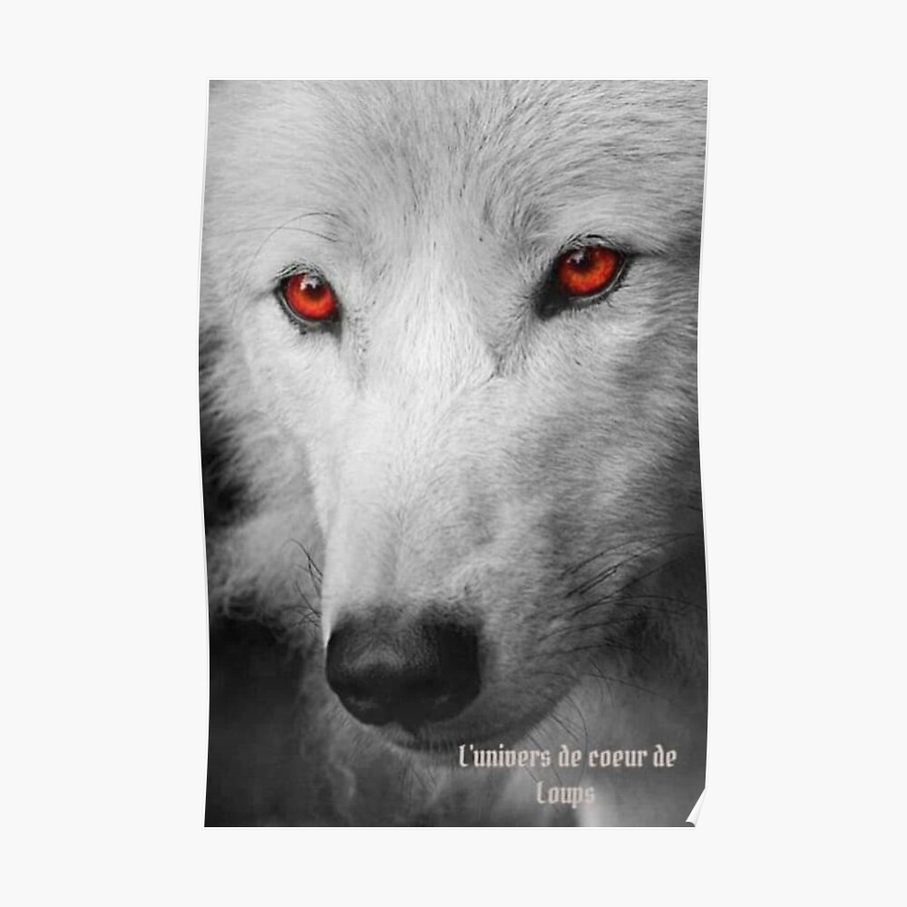 The red eyes wolf