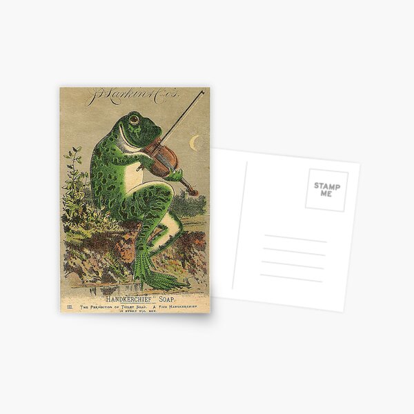 Vintage Violin Frog Postcard