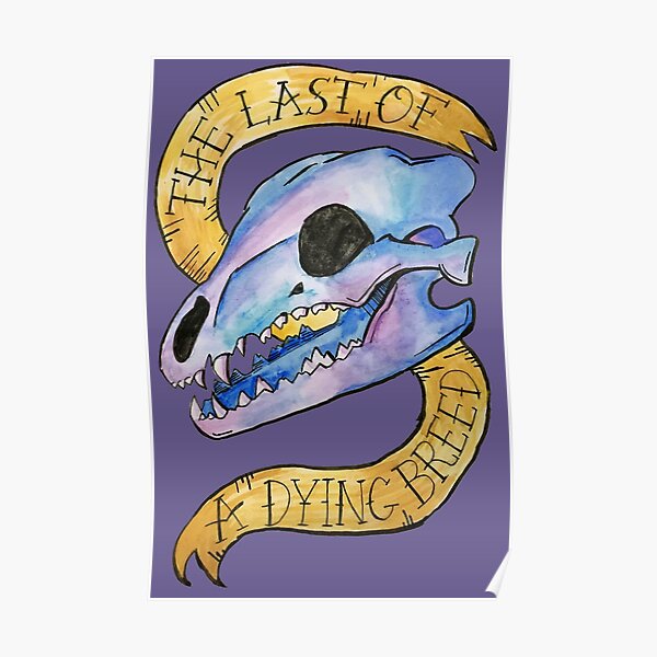 "Last of a Dying Breed" Fall Out Boy Last of the Real Ones Watercolor Skull Poster