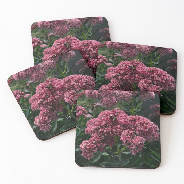 Item preview, Bumblebee on a Pink Stonecrop Flower designed and sold by Candace Offman.