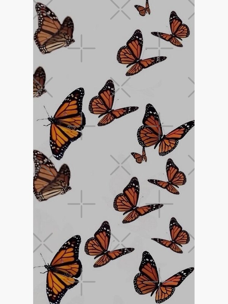 butterfly vsco pattern Poster for Sale by Lovelife360