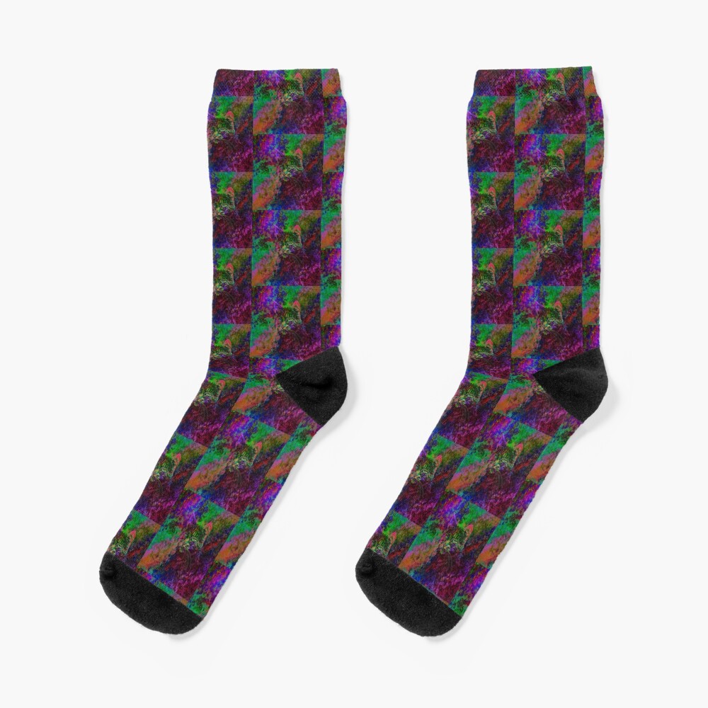 Abstraction Socks