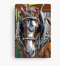 Disney Horse Canvas Print