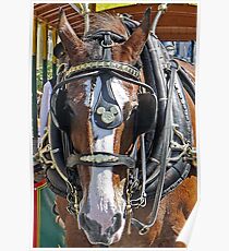 Disney Horse Poster