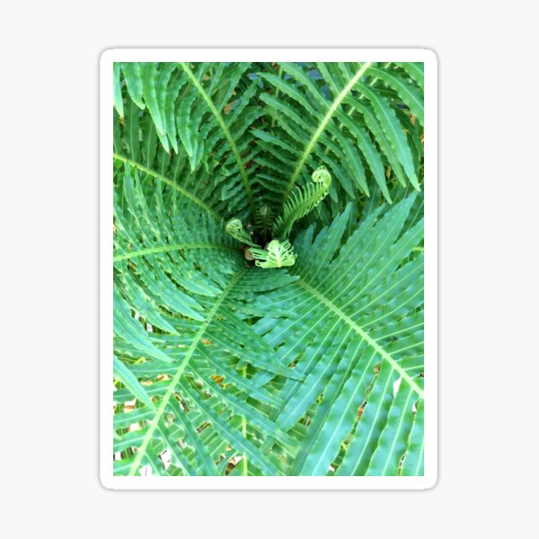 Regal Silver Lady Fern Heart Sticker
