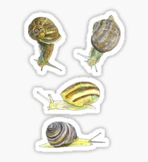 Slippery Snails 1 Sticker