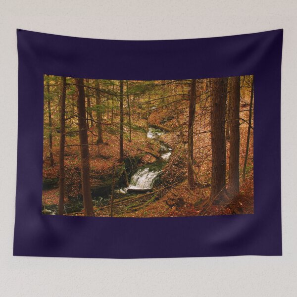 Item preview, Forest Waterfall designed and sold by dave-settle.