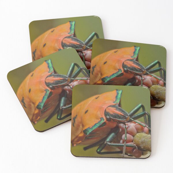 Item preview, Stink Beetle 9944 designed and sold by kevin Chippindall.