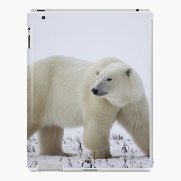 Coque et skin adhésive iPad avec l'œuvre « 1 an premier anniversaire ours  en peluche avec des ballons joyeux anniversaire » de l'artiste  Trenddesigns24
