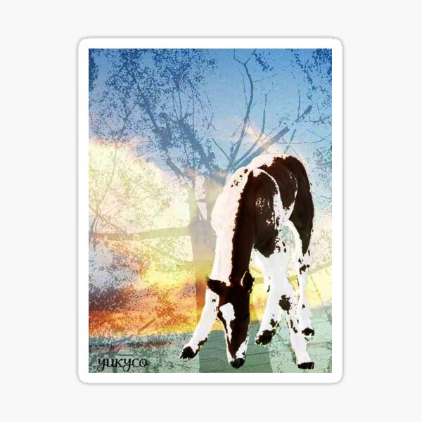 Rainbow with horse Sticker