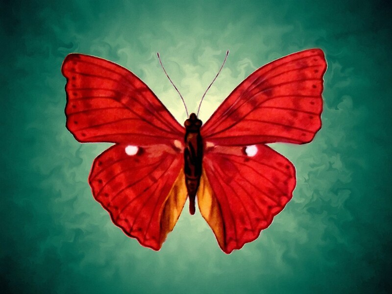 "red Butterfly acrylic painting" by goldyparazi | Redbubble