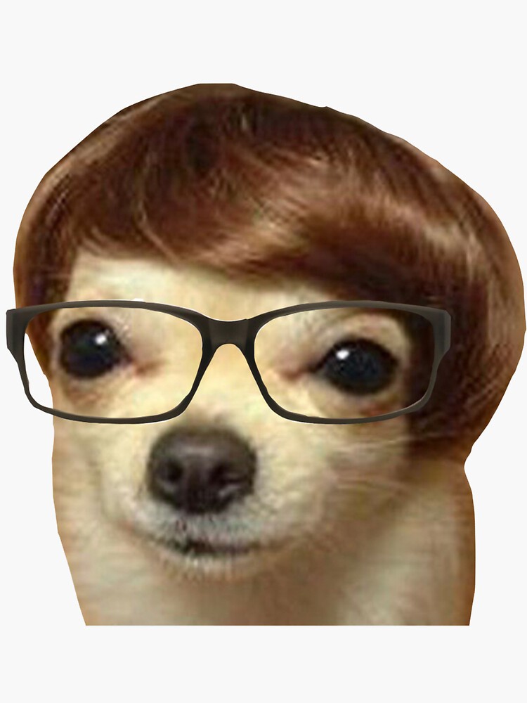 Dog in Wig Isaac