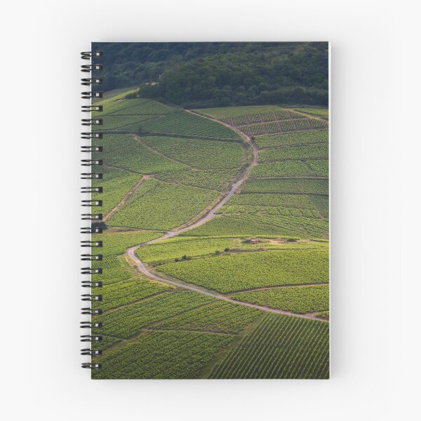 Item preview, Landscape of vineyards of the Beaujolais designed and sold by Gaël FONTAINE.