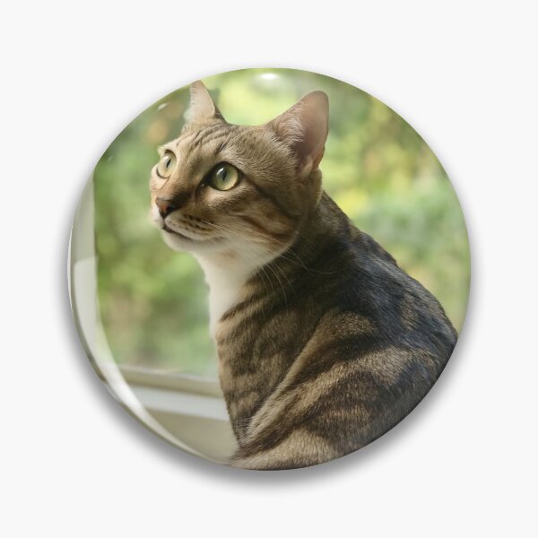 Item preview, Focus is a kind of beauty - Cool Sticker designed and sold by joejiing.