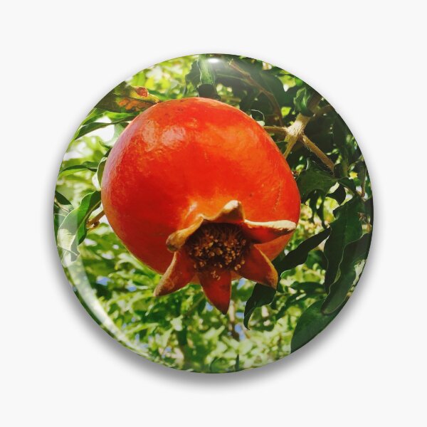 Item preview, Red Pomegranate photo  by Iritof designed and sold by iritof.