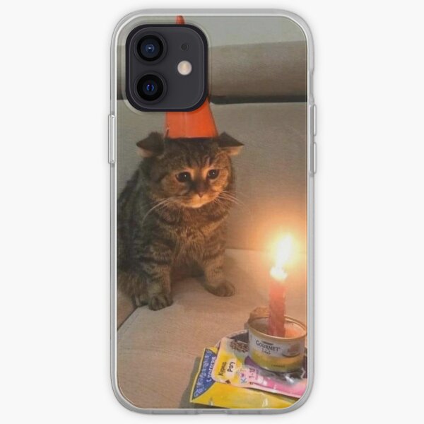 Coque Iphone Chat Triste Anniversaire Trone De Cone De Signalisation Meme Par Chantal15 Redbubble