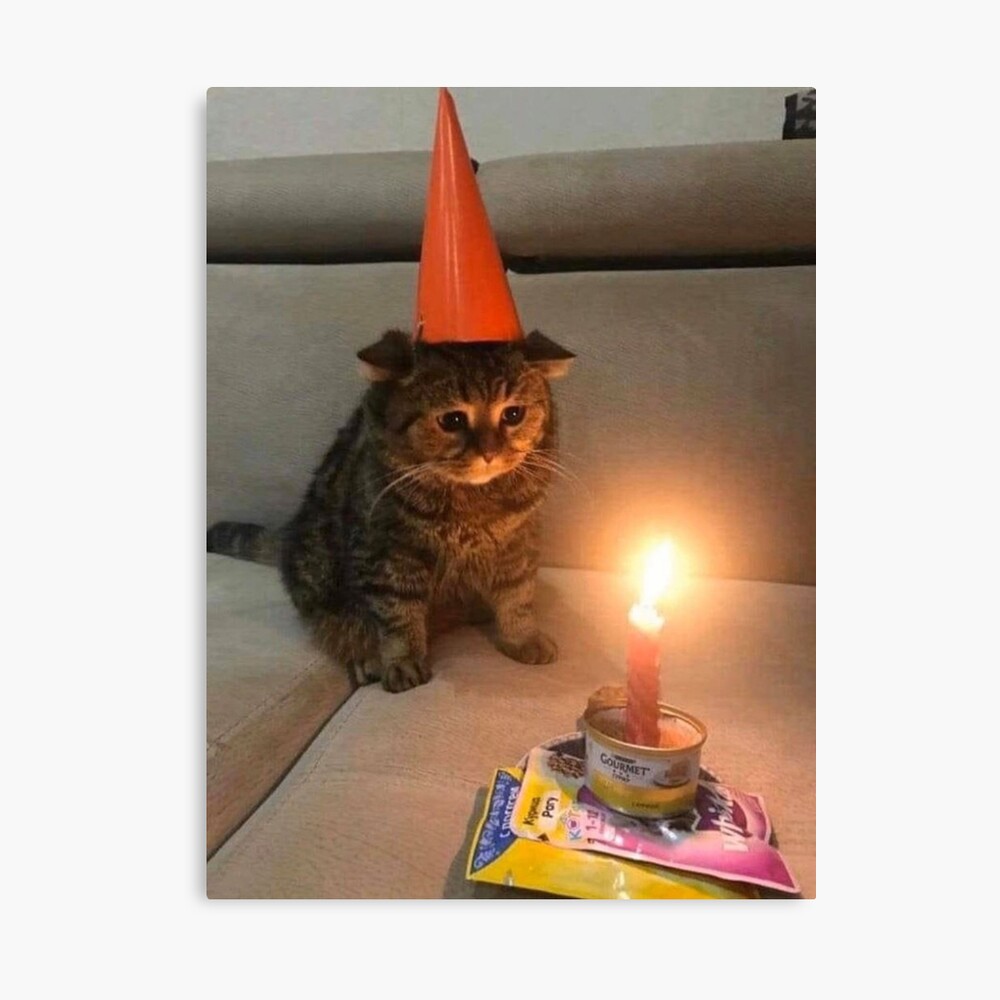 Cat Sad Birthday Traffic Cone Hat Meme Metal Print By Chantal15 Redbubble