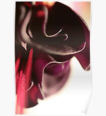 Black Fuschia Poster