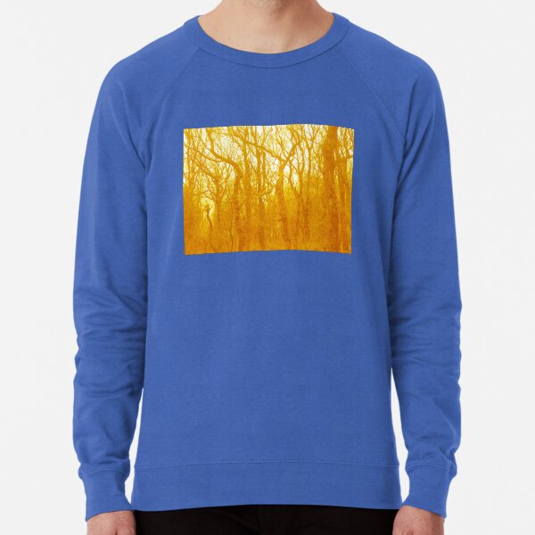 VELVET WOOD Yellow Lightweight Sweatshirt