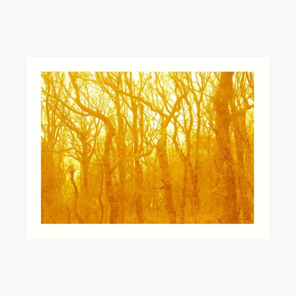 VELVET WOOD Yellow Art Print