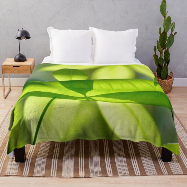 Item preview, Light and Shadow of Green leaves - Nature designed and sold by joejiing.