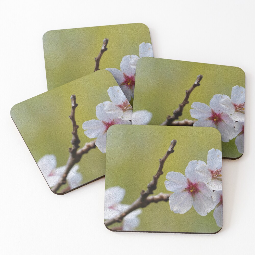 Item preview, Coasters (Set of 4) designed and sold by EJCDesign.