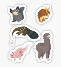 A is for... Animal Sticker