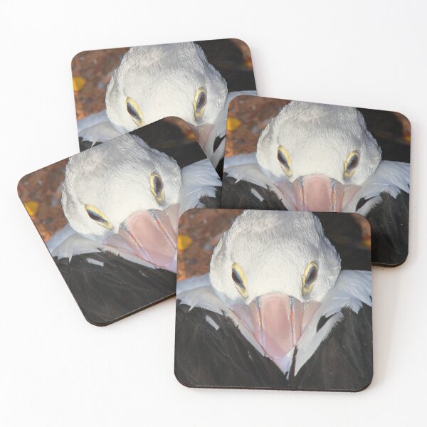 Item preview, Pelican Portrait - Preparing to Sleep designed and sold by Carole-Anne.