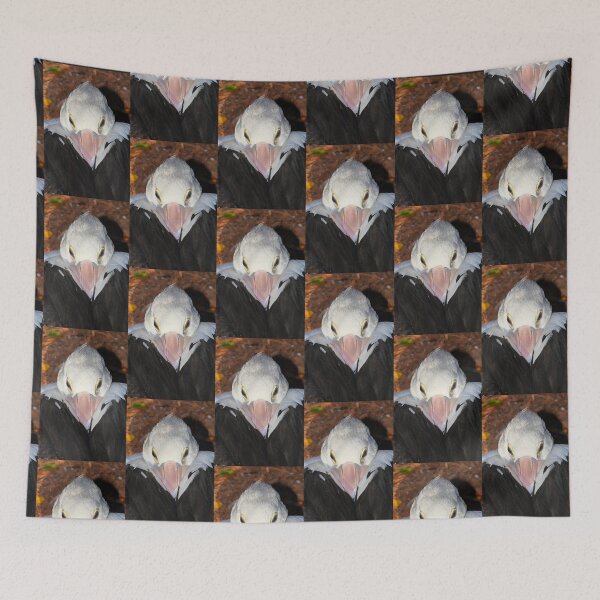 Item preview, Pelican Portrait - Preparing to Sleep designed and sold by Carole-Anne.