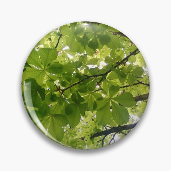 Artikelvorschau, Licht durch grünes Blätterdach entworfen und verkauft von LittleBettyMakes.