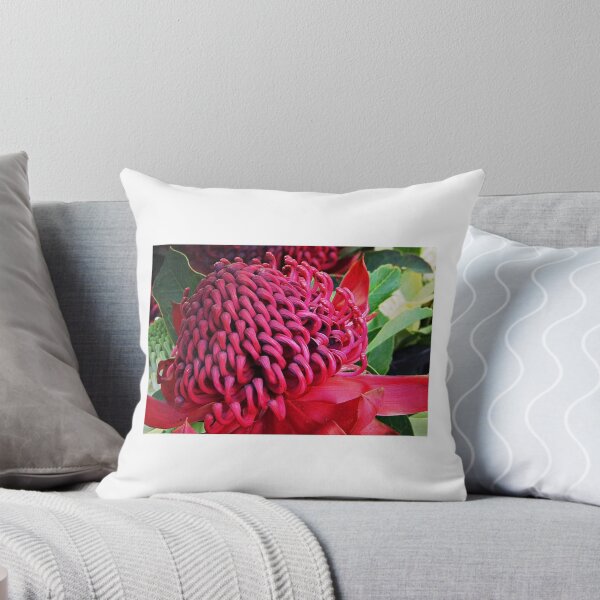 Item preview, Waratah designed and sold by Kerry LeBoutillier.