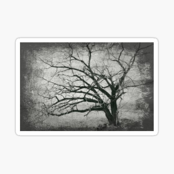 About a Tree Sticker