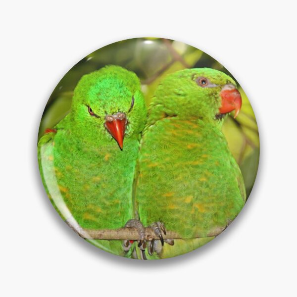 Artikelvorschau, Schuppige Lorikeets entworfen und verkauft von Carole-Anne.
