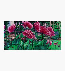Nepenthe Photographic Print