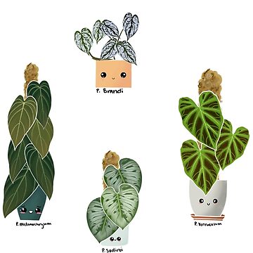 Artwork thumbnail, Philodendron Sticker by GelsGarden