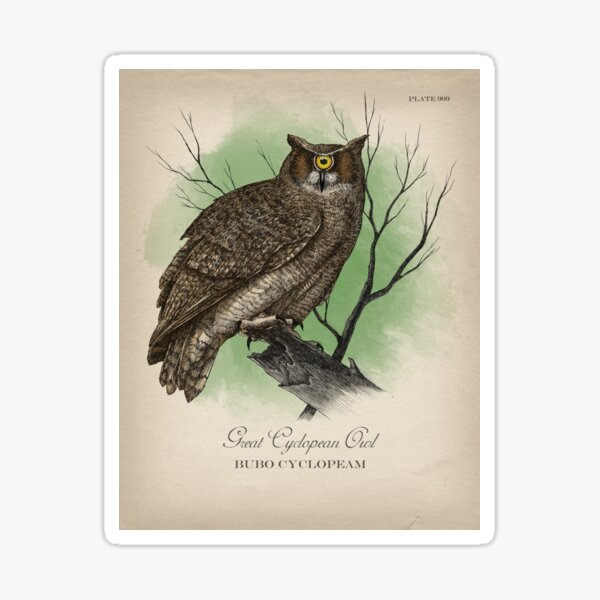 Great Cyclopean Owl Sticker