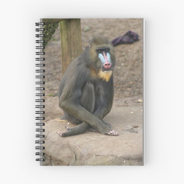 Artikelvorschau, Mandrill entworfen und verkauft von KcsArt87.