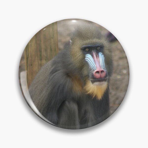 Item preview, Mandrill designed and sold by KcsArt87.