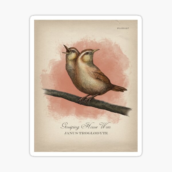 Gossiping House Wren Sticker