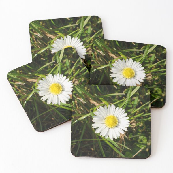 Item preview, A Single Daisy designed and sold by elstoleno.