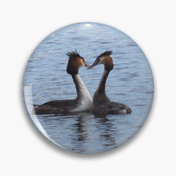 Item preview, Pair of Great Crested Grebe Make a Heart designed and sold by MendipBlue.