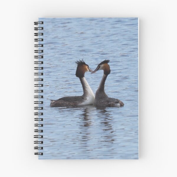 Item preview, Pair of Great Crested Grebe Make a Heart designed and sold by MendipBlue.