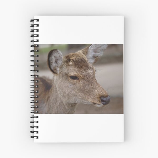 Item preview, Sika Deer (Cervus nippon) from Nara, Japan designed and sold by rodmacpherson.