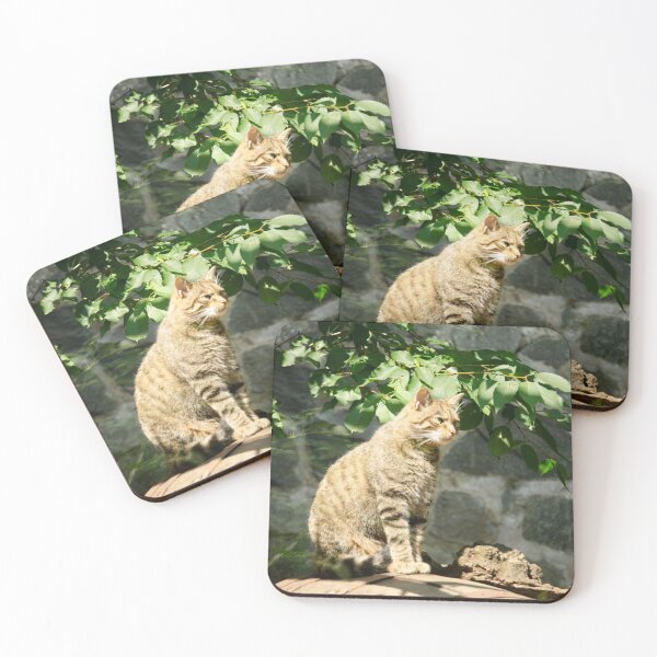 Item preview, Scottish Wildcat designed and sold by elstoleno.