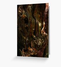 Glade Greeting Card
