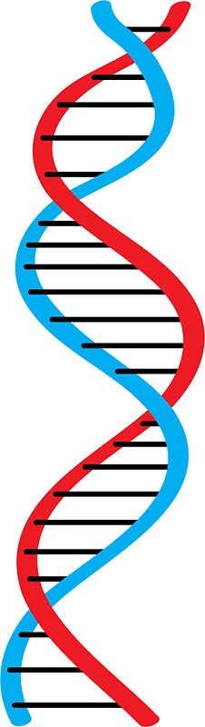 Dna: Stickers | Redbubble