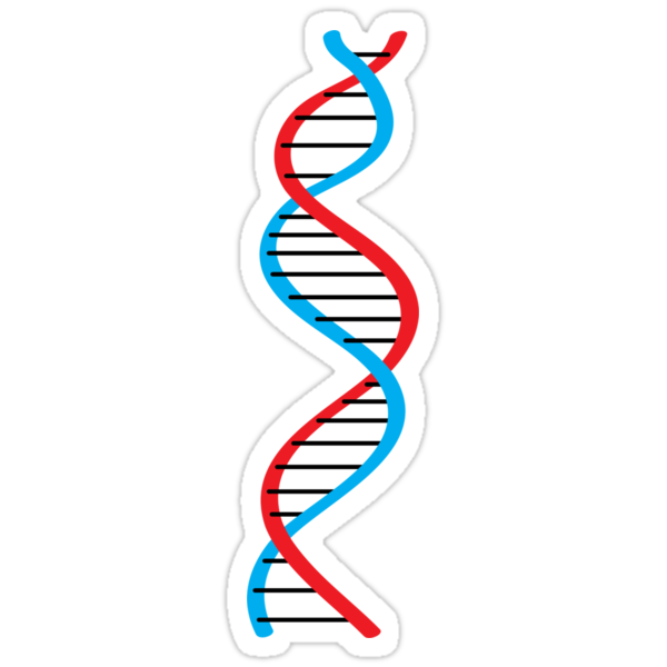 Dna Stickers By Lucid Reality Redbubble